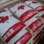 Il pellet canadese Professional Pellets