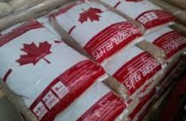 Il pellet canadese Professional Pellets