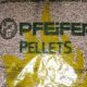 pfeifer in sacco