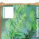 Binder Holz Pellet, le recensioni
