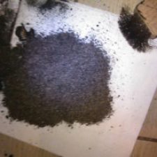 Forestal Pellet, la recensione e le opinioni