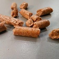 My Premium Pellets, le recensioni di chi lo ha provato