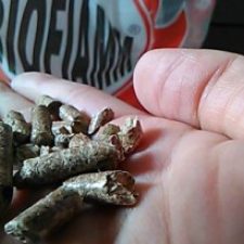 Biofiamm, che tipo di pellet dalla Bosnia?