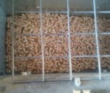 Pellet Schuster, la nostra prova e tutte le recensioni