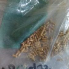 Pellet Schosswendter, la nostra prova