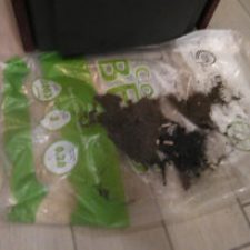 Pellet Berg, le recensioni