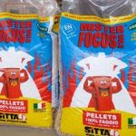 Pellet Mister Focus Faggio, le recensioni