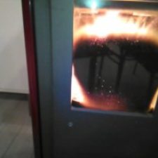 Forest Premium Pellet, opinioni sul sacco rosso