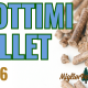 3 Pellet per la prossima stagione
