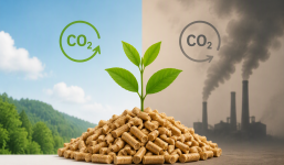 Il pellet e il cambiamento climatico